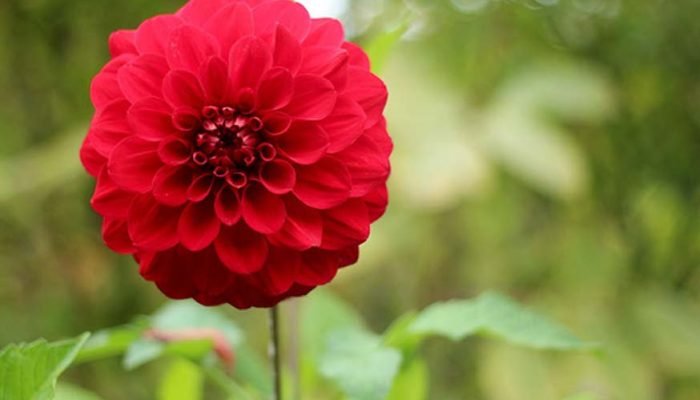 student-work_2_Page_05